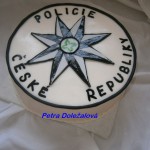 Logo policie